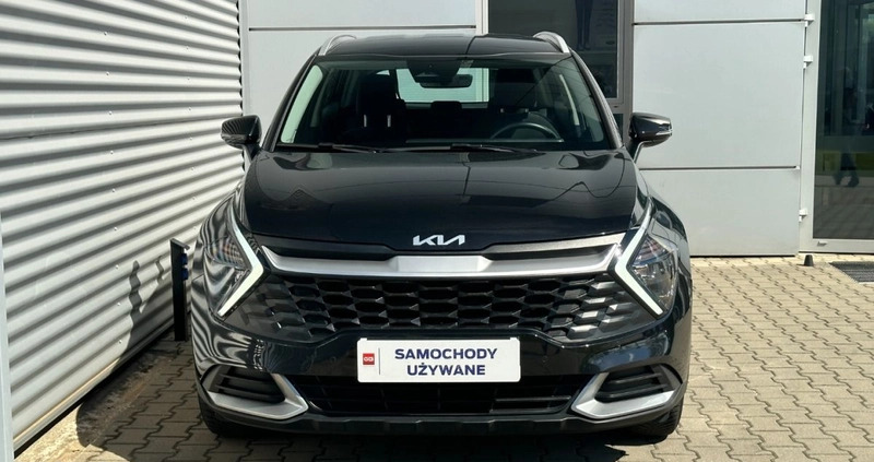 Kia Sportage cena 124900 przebieg: 40279, rok produkcji 2023 z Bierutów małe 254